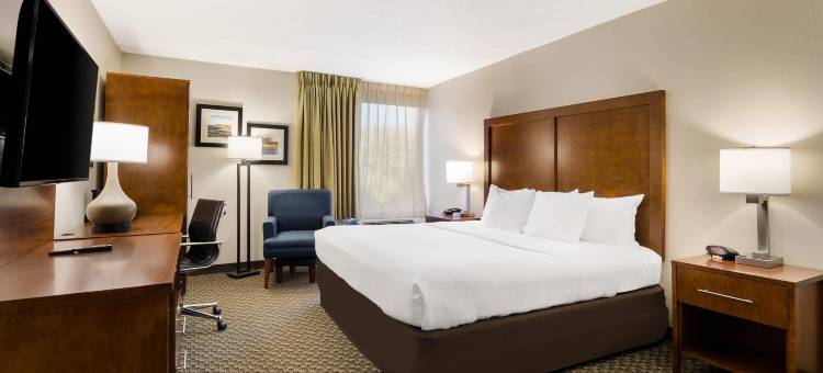 弗吉尼亚州霍斯中心因舒适酒店(Comfort Inn Virginia Horse Center)图片