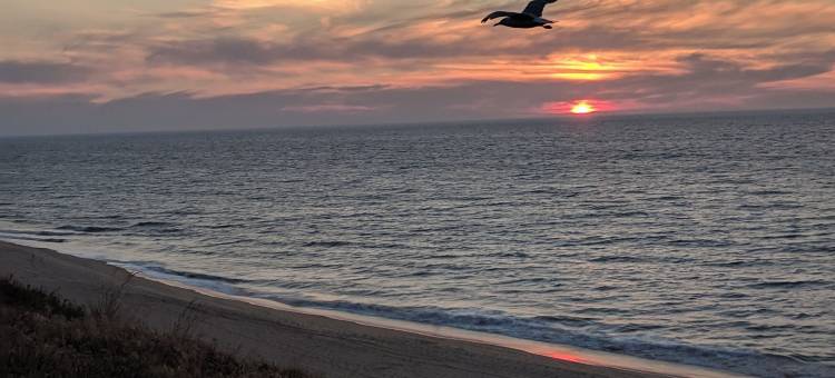 邦伯里最便利的位置(Bunbury's Most Convenient Location)图片