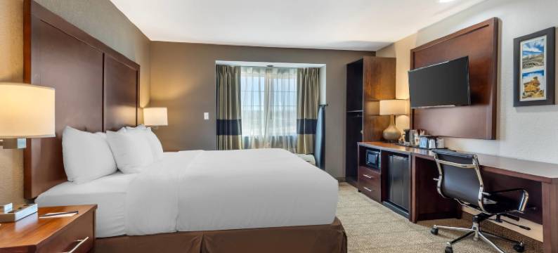 阿兹特克-法明顿地区康福特旅馆及套房(Comfort Inn & Suites Aztec - Farmington Area)图片