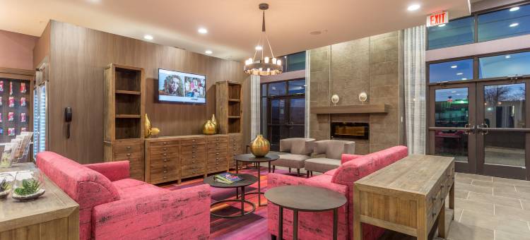 圣马科斯会展中心区域假日酒店(Holiday Inn San Marcos-Convention Ctr Area)图片