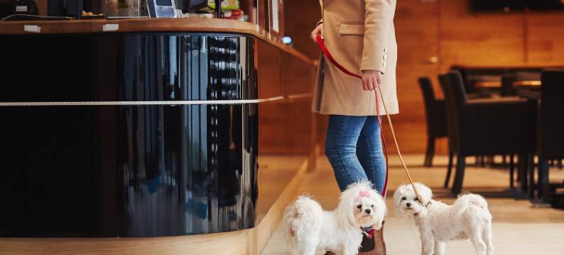 莫洛公园公寓酒店(Molo Park Aparthotel)图片