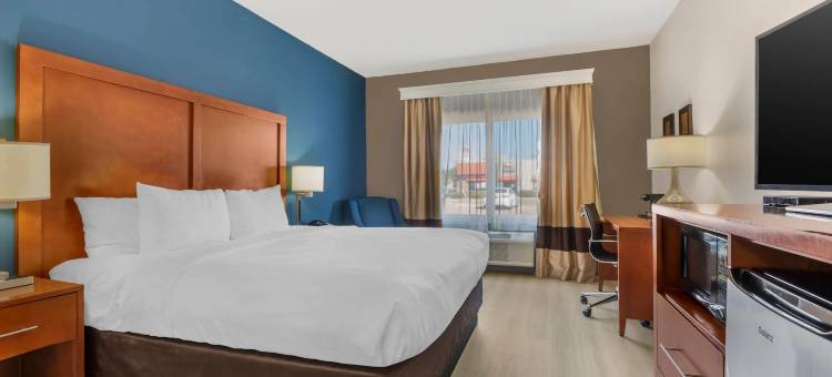 红橡木舒适酒店(Comfort Inn & Suites)图片