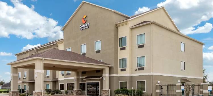 纳瓦索塔舒适套房酒店(Comfort Inn & Suites Navasota)图片