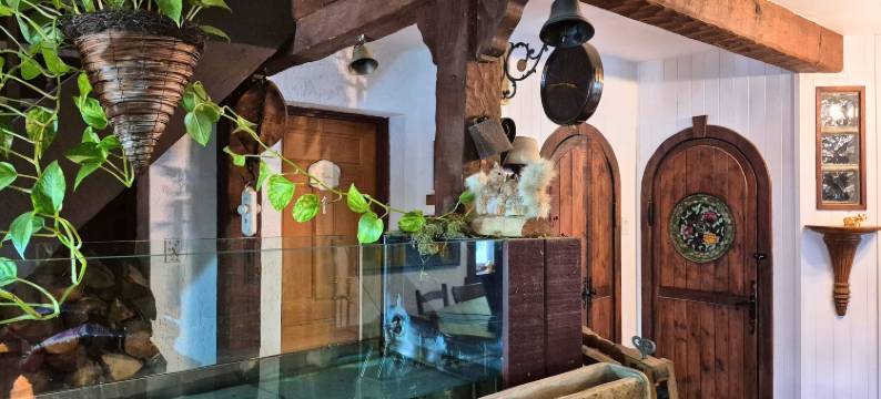 诗人度假屋(Guesthouse Refuge du Poète Montreal-Longueuil)图片