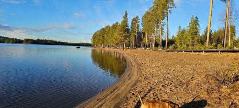 Fiskecamp Rusksele图片