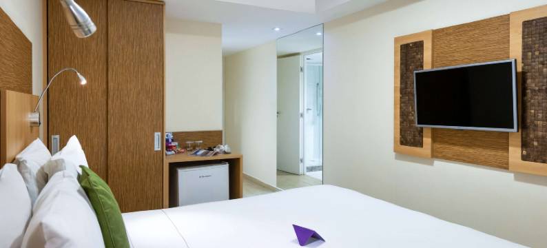 马塞约帕尤卡拉美居酒店(Mercure Maceio Pajucara)图片