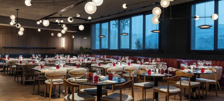 伊兹密尔波尔诺瓦丽笙红酒店(Radisson RED Hotel Izmir Point Bornova)图片