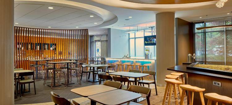 亚特兰大关口机场万豪SpringHill酒店(SpringHill Suites Atlanta Airport Gateway)图片