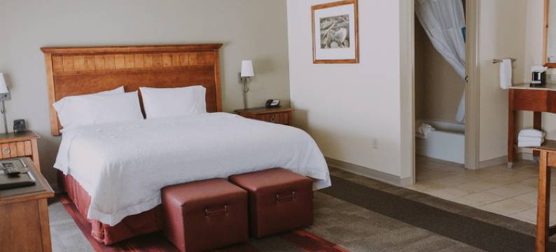 希尔顿欢朋套房酒店-绿河(Hampton Inn & Suites Green River)图片