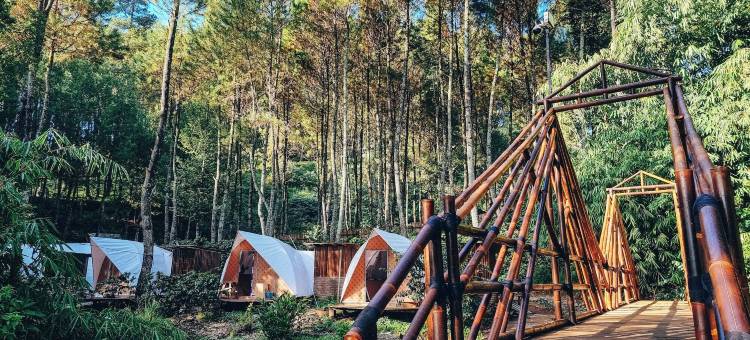 豪瑞森的邦加伦根豪华露营地(LuxCamp Pangalengan by Horison)图片
