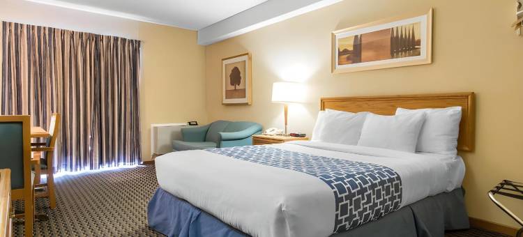 机场伊克诺旅馆(Econo Lodge Airport Quebec)图片