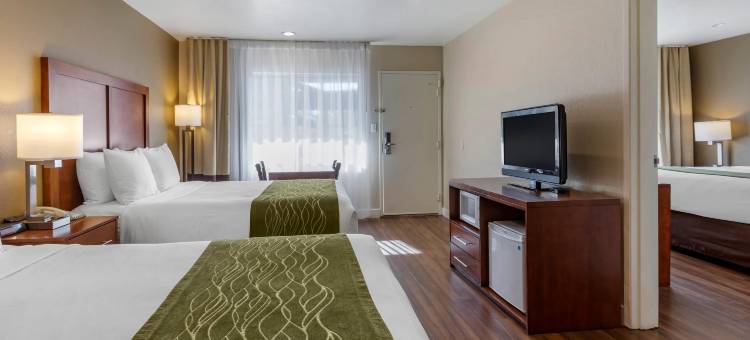 毕晓普舒适酒店(Comfort Inn Bishop)图片