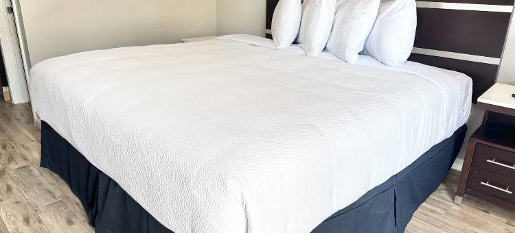 阿林顿美洲优选酒店(Americas Best Value Inn Arlington)图片