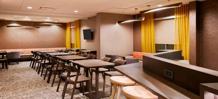 阿什维尔万豪SpringHill酒店(SpringHill Suites Asheville)图片