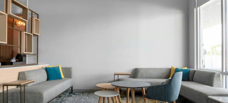 坦帕克利尔沃特TownePlace Suites酒店(TownePlace Suites Tampa Clearwater)图片