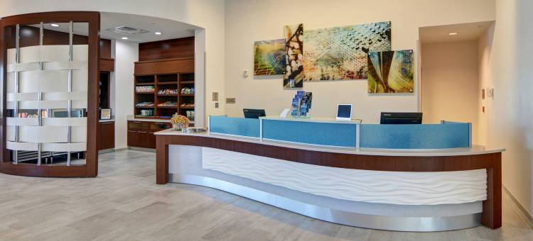 达拉斯普莱诺/弗里斯科万豪SpringHill酒店(SpringHill Suites Dallas Plano/Frisco)图片
