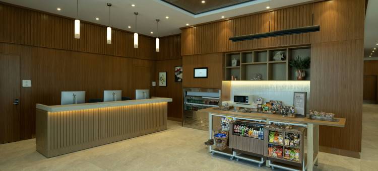 希尔顿花园酒店伊斯坦布尔彭迪克(Hilton Garden Inn Istanbul Pendik)图片