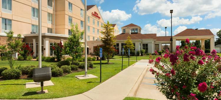 什里夫波特希尔顿花园酒店(Hilton Garden Inn Shreveport)图片