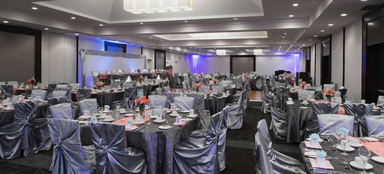 温尼伯机场希尔顿套房酒店(Hilton Winnipeg Airport Suites)图片