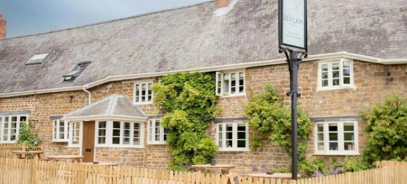 Stayzo- Napoleon Red Lion图片