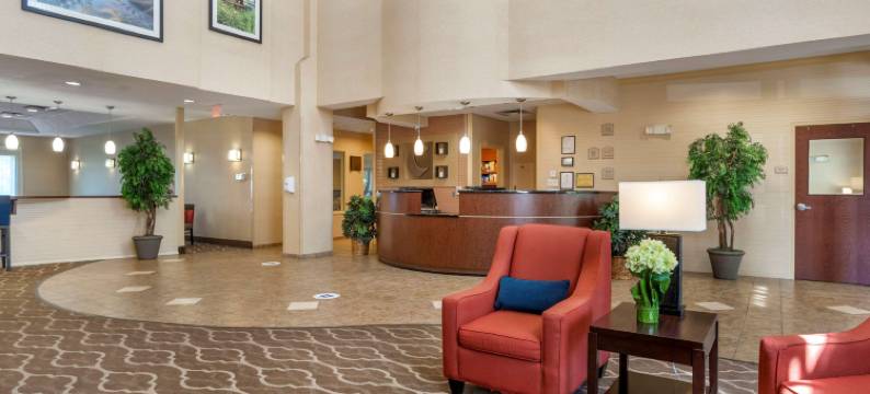 弗雷德里克斯堡北部舒适套房酒店(Comfort Suites Fredericksburg North)图片