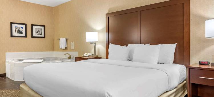 梅多兰兹舒适酒店(Comfort Inn Meadowlands)图片