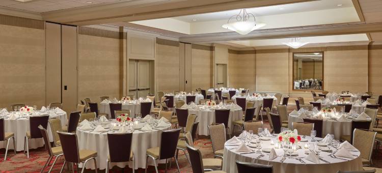 圣克拉拉希尔顿酒店(Hilton Santa Clara)图片