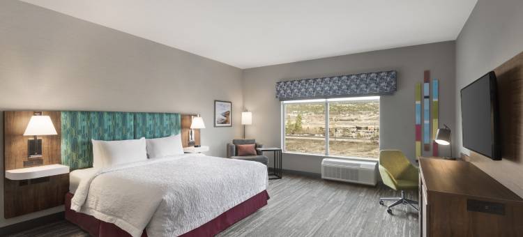 基洛纳机场希尔顿欢朋套房酒店(Hampton Inn & Suites by Hilton Kelowna Airport BC)图片