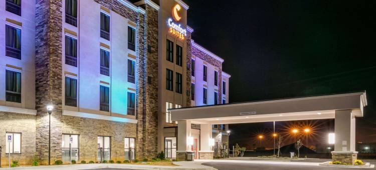 舒适套房(Comfort Suites North Tupelo)图片