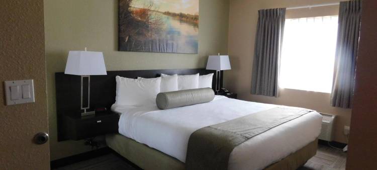 岛屿套房酒店(Island Suites)图片