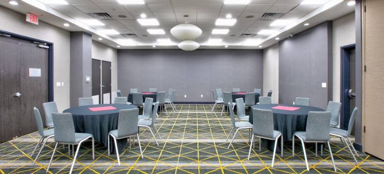 Holiday Inn 达拉斯 - 沃斯堡机场S(Holiday Inn DFW Airport South)图片