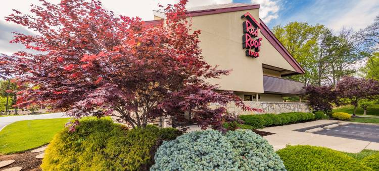 红顶酒店-辛辛那提东北布鲁艾施(Red Roof Inn Cincinnati Northeast - Blue Ash)图片