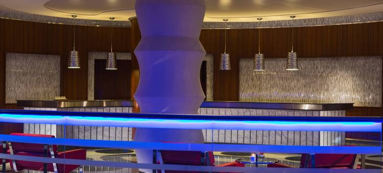 伊兹密尔万丽酒店(Renaissance Izmir Hotel)图片