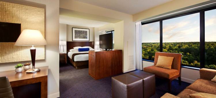 莱尔凯悦酒店-近内珀维尔(Hyatt Regency Lisle Near Naperville)图片