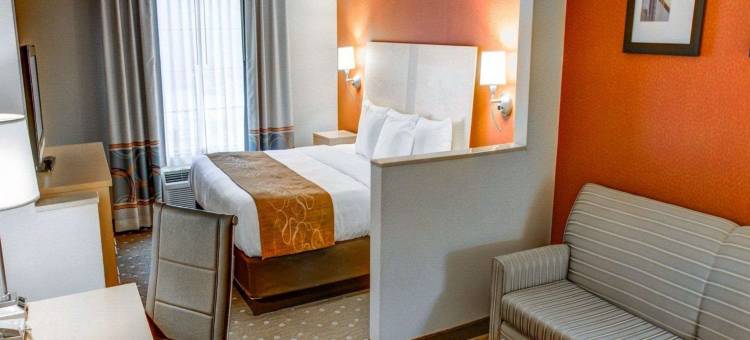 匹兹堡机场舒适套房酒店(Comfort Suites Pittsburgh Airport)图片