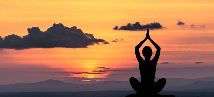 美景庄园宁静度假酒店(Domaine de Bellevue The Originals Relais)图片