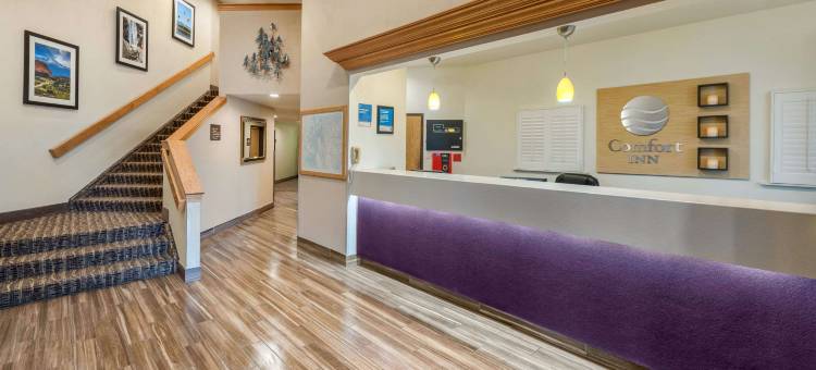 舒适酒店(Comfort Inn Limon)图片