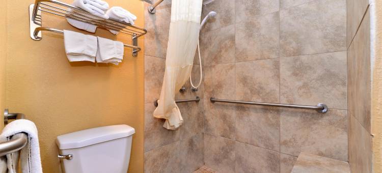 舒伦堡美洲最佳价值酒店(Americas Best Value Inn Schulenburg)图片