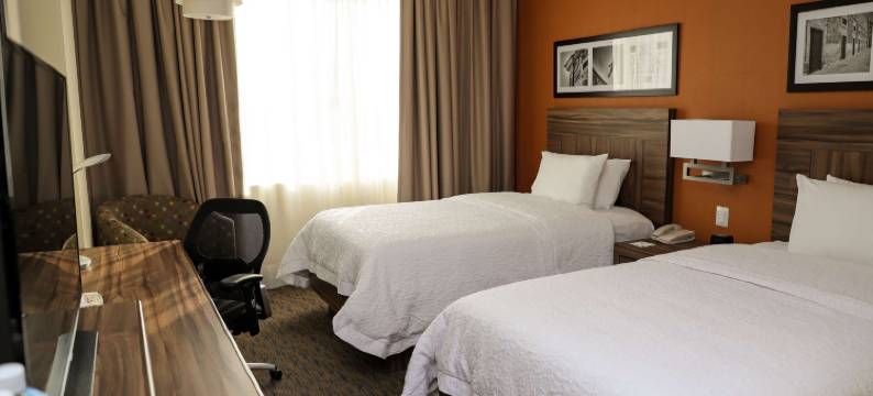 伊拉普阿托欢朋酒店(Hampton Inn by Hilton Irapuato)图片