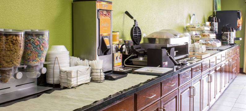 凯艺套房酒店(Quality Inn & Suites)图片