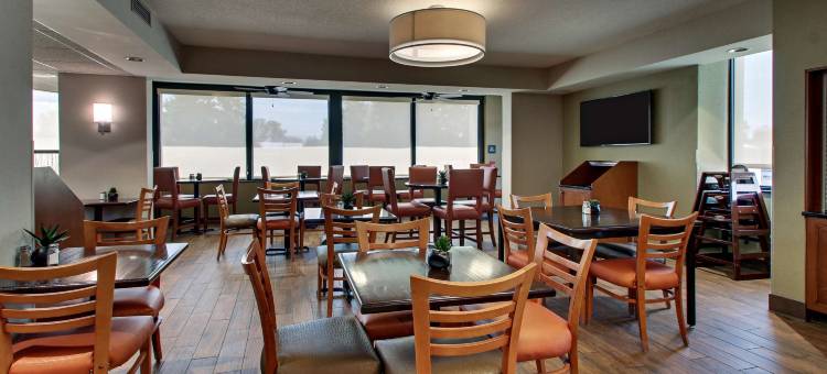 埃文斯维尔东德鲁里套房酒店(Drury Inn & Suites Evansville East)图片