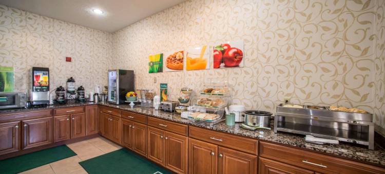 里奇菲尔德66号公路凯艺酒店(Quality Inn Litchfield Route 66)图片