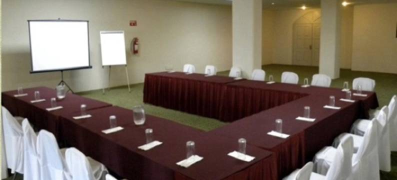 旧金山伊拉普阿托商务酒店(Hotel San Francisco Irapuato Business Class)图片