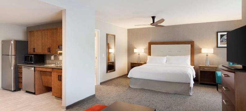 Homewood Suites by Hilton- 锡拉丘兹卡里尔环岛(Homewood Suites by Hilton - Syracuse/Carrier Circle)图片