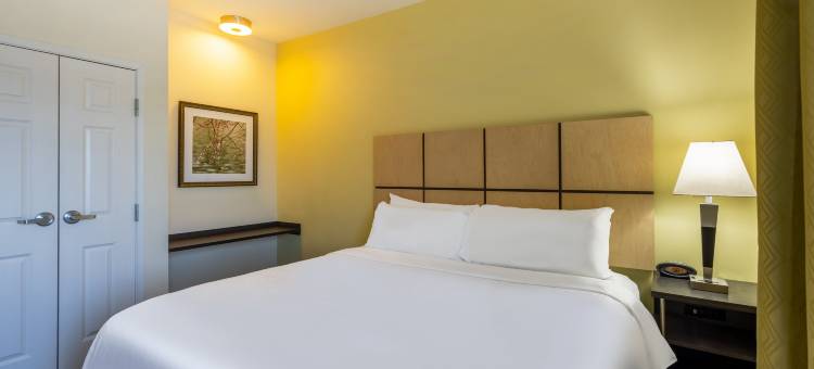 Candlewood Suites 斯普林菲尔德南 by IHG(Candlewood Suites Springfield-Medical District)图片