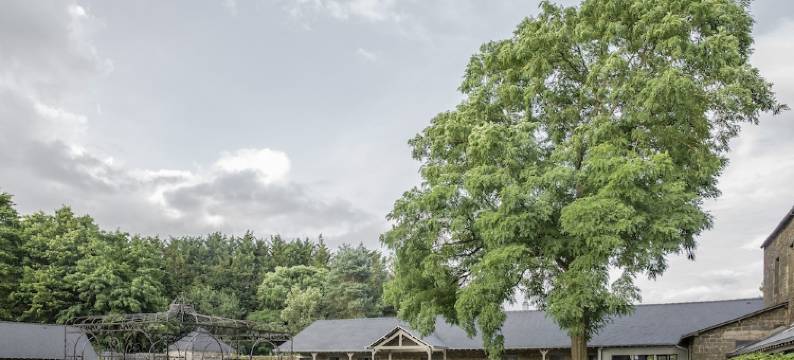 勒特龙谢修道院翰悦阁酒店(Hotel de l'Abbaye le Tronchet - Handwritten Collection)图片