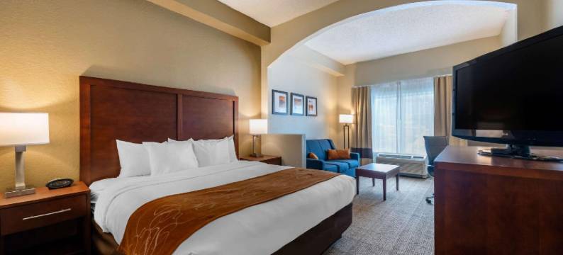 康福特套房市中心(Comfort Suites Downtown)图片