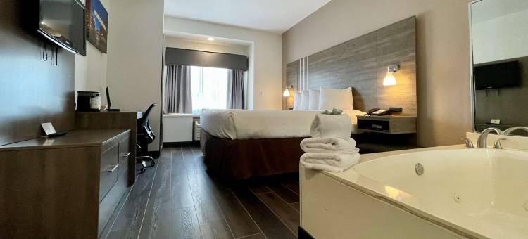 罗阿诺克贝斯特韦斯特套房酒店(Best Western Roanoke Inn  Suites)图片