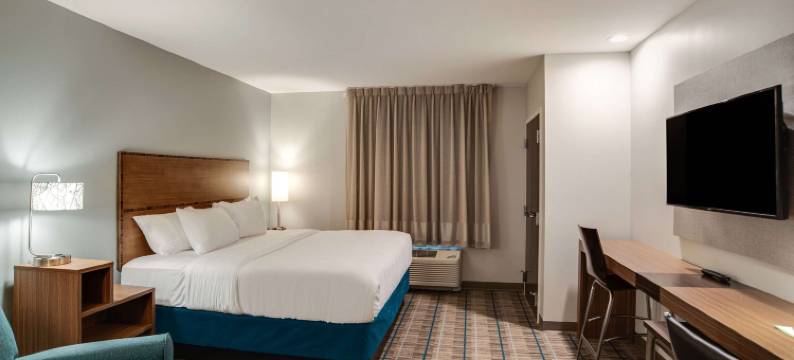 MainStay套房卡莱尔 - 哈里斯堡(MainStay Suites Carlisle - Harrisburg)图片