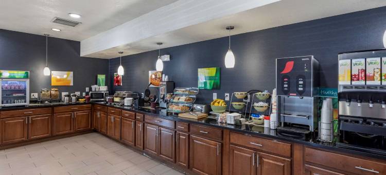 丹佛机场凯艺套房酒店-盖特威公园(Quality Inn and Suites Denver Airport - Gateway Park)图片